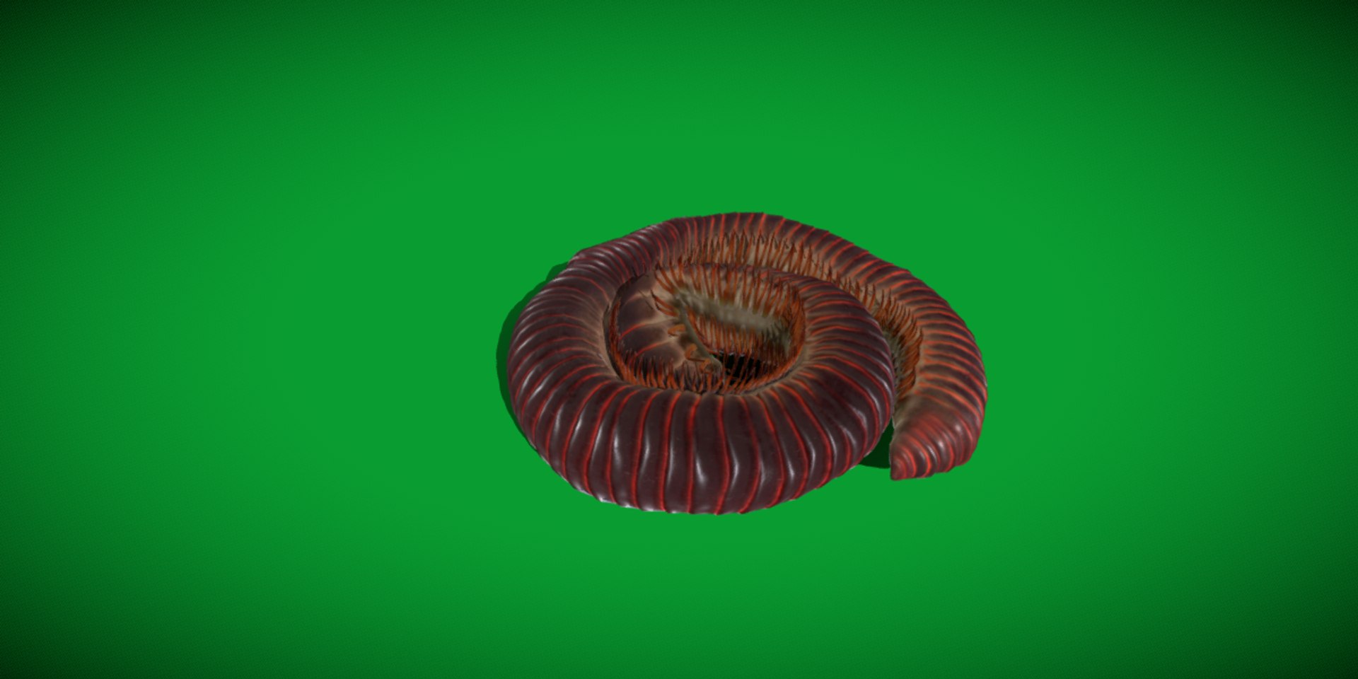 Giant African Millipede model https://p.turbosquid.com/ts-thumb/S9/3IjnfT/Ex/giant_african_millipede2/png/1742835748/1920x1080/fit_q87/c6a16a20cb5d32e45bb26e1f24c115c747a8a7cf/giant_african_millipede2.jpg