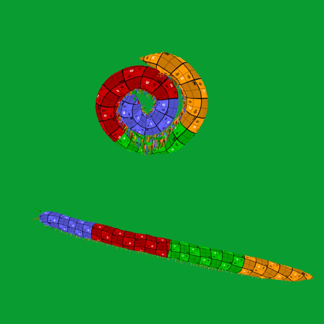 Giant African Millipede model https://p.turbosquid.com/ts-thumb/S9/3IjnfT/Pr/uv/png/1742835765/1920x1080/fit_q87/7ac84a7982b6ce871321ac5f48d736c0bc7c4061/uv.jpg