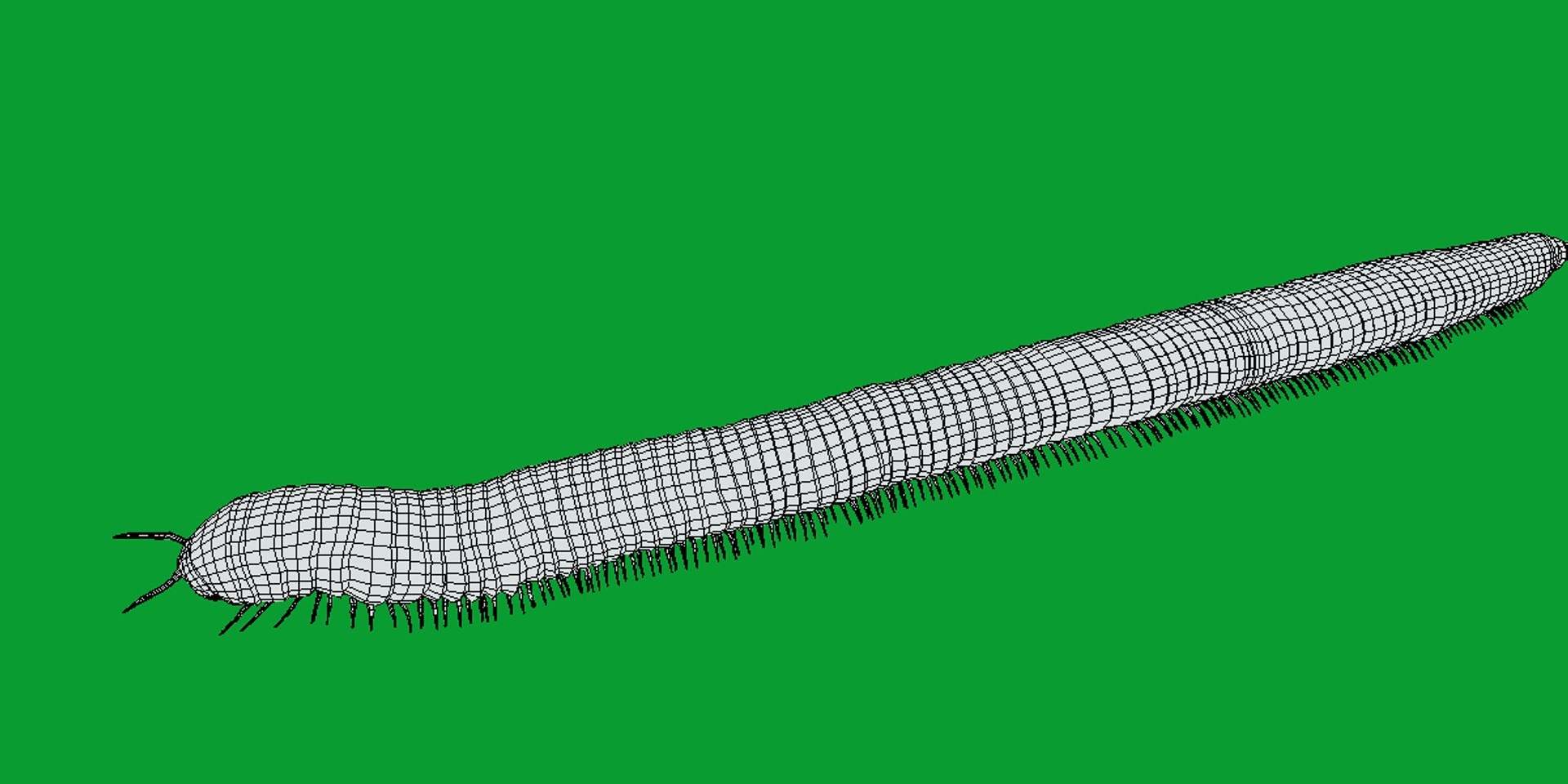 Giant African Millipede model https://p.turbosquid.com/ts-thumb/S9/3IjnfT/Zf/giant_african_millipede18/png/1742835758/1920x1080/fit_q87/32a3f9c30f27400b32c83292ad5ad81898e1de0b/giant_african_millipede18.jpg