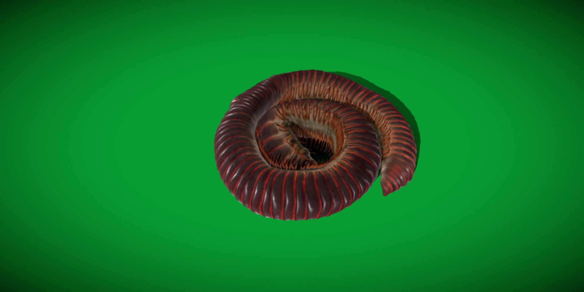 Giant African Millipede model https://p.turbosquid.com/ts-thumb/S9/3IjnfT/bs/giant_african_millipede/png/1742835738/1920x1080/fit_q87/b05636e5c1b541153827c0c89ea2213419d2fc36/giant_african_millipede.jpg