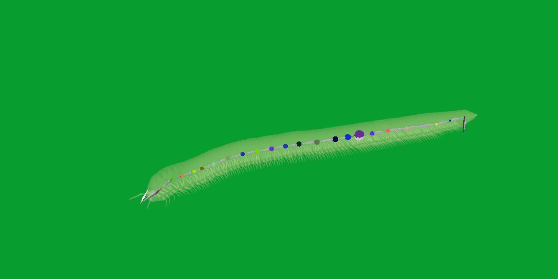 Giant African Millipede model https://p.turbosquid.com/ts-thumb/S9/3IjnfT/ex/giant_african_millipede6/png/1742835752/1920x1080/fit_q87/64c3bfff1485f1f3162024f93f20324418891457/giant_african_millipede6.jpg