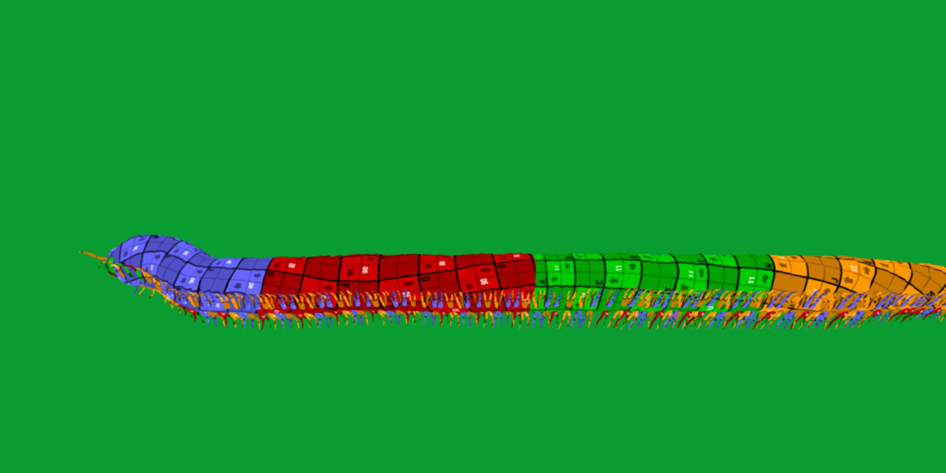 Giant African Millipede model https://p.turbosquid.com/ts-thumb/S9/3IjnfT/nJ/giant_african_millipede26/png/1742835763/1920x1080/fit_q87/aaadc2cfb8a32d7130dd57dcee405b5b7722a96b/giant_african_millipede26.jpg