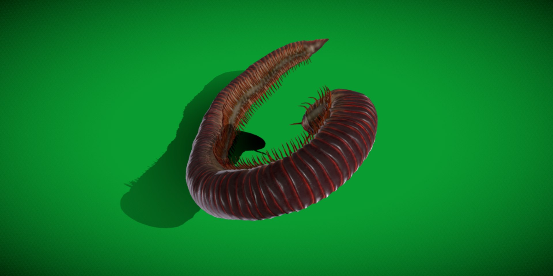 Giant African Millipede model https://p.turbosquid.com/ts-thumb/S9/3IjnfT/vT/giant_african_millipede3/png/1742835749/1920x1080/fit_q87/12fe66e836ee4dcbb8cb70f5f662e00cf7f533ec/giant_african_millipede3.jpg