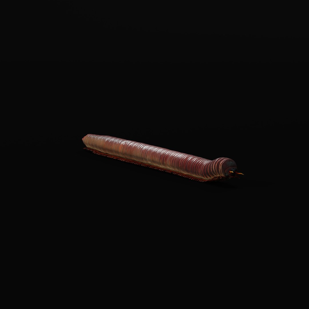 Giant African Millipede model https://p.turbosquid.com/ts-thumb/S9/3IjnfT/ws/giantafricanmillipederigao_0005/jpg/1742835746/1920x1080/fit_q87/1a976d09b4a5fc6ac8c800bf7686bad146feeaf9/giantafricanmillipederigao_0005.jpg