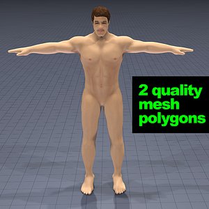 human body 3D