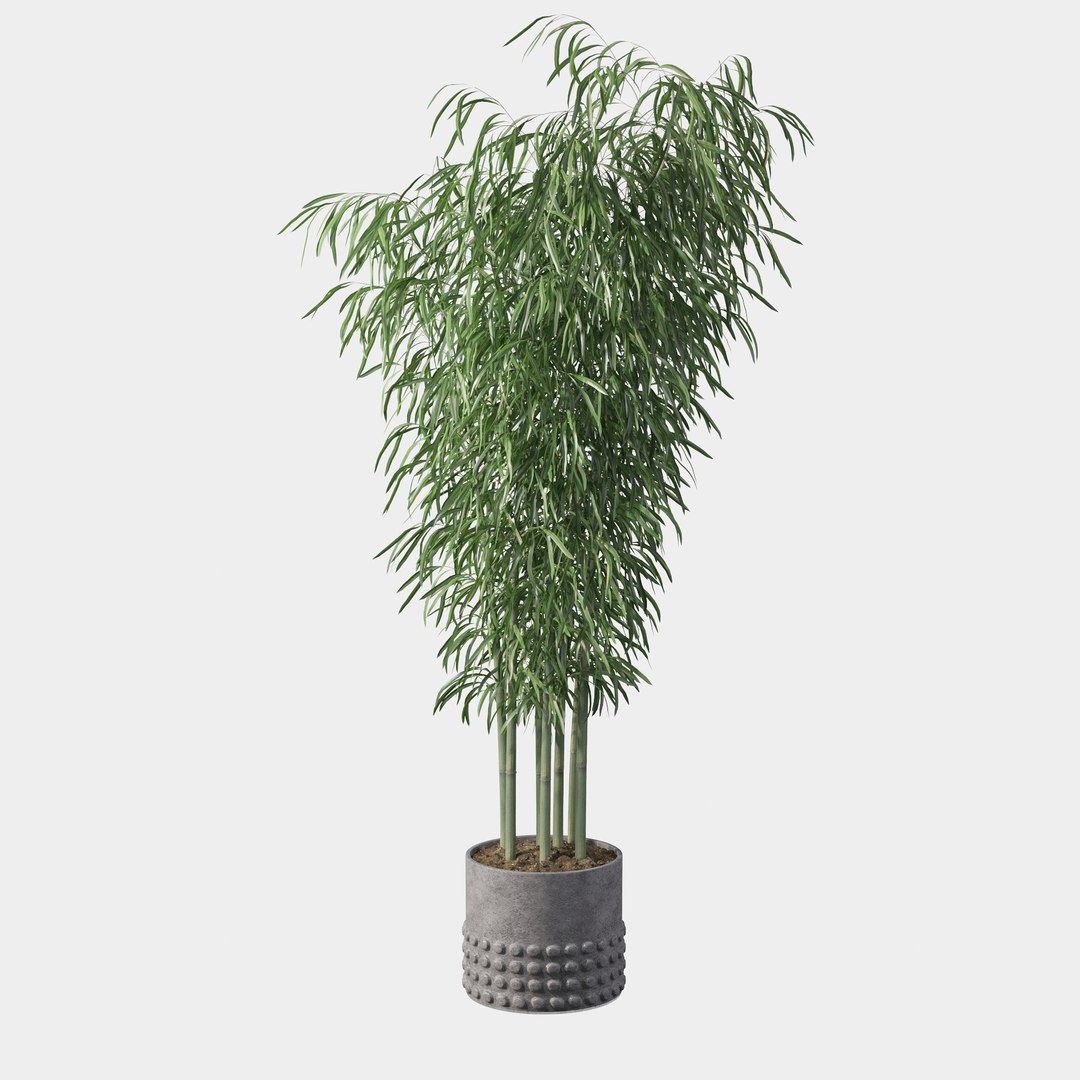 3D Bamboo Model - TurboSquid 1627975
