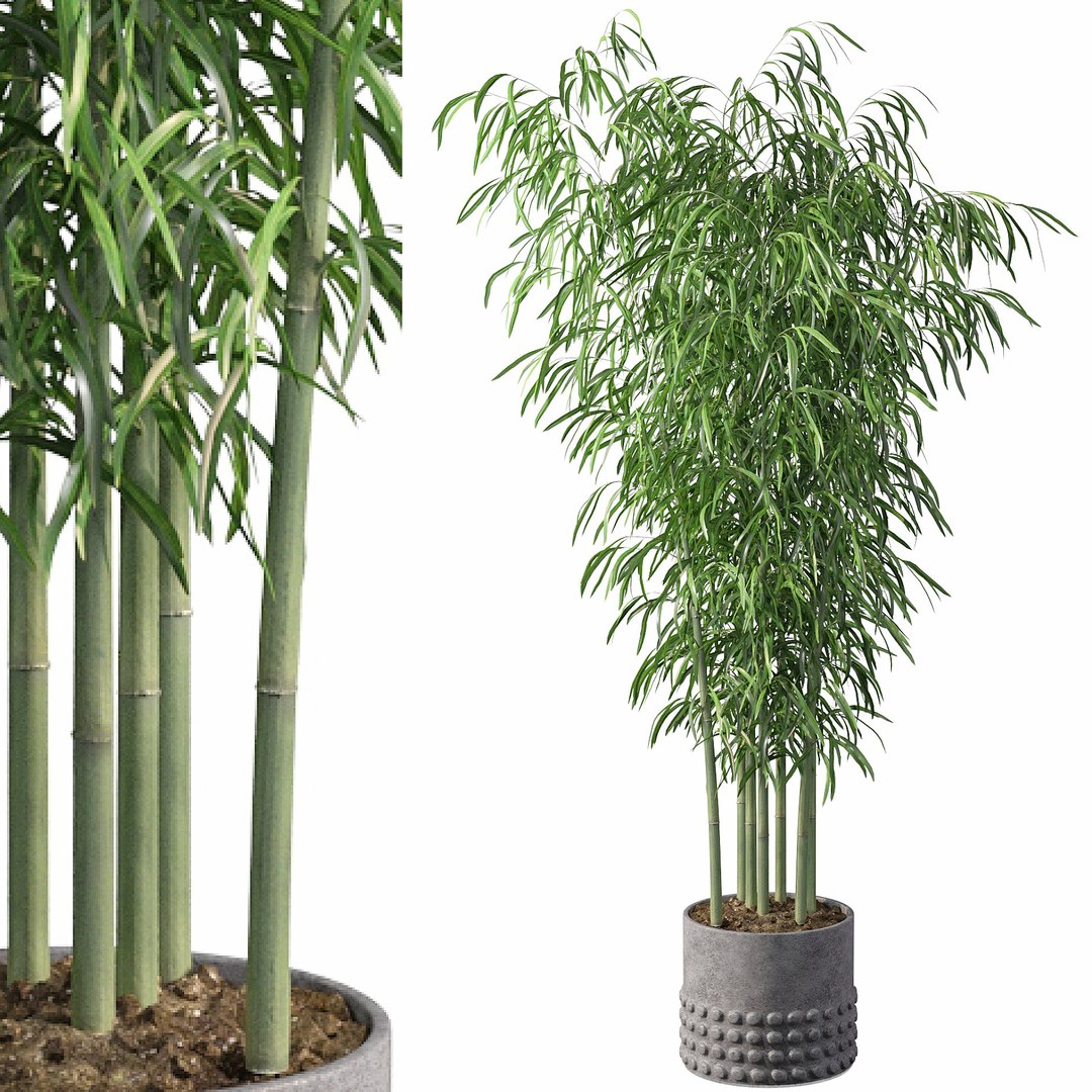 3D Bamboo Model - TurboSquid 1627975
