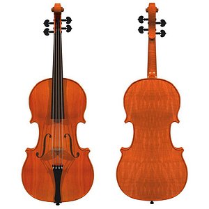 violin wood finish max