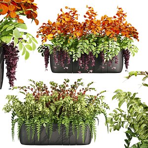 3D plant vol 775 - acer - ficus - flower