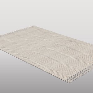 Contemporary Beige Area Rug
