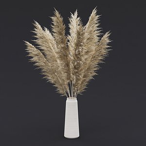 3D Pampas Grass II model