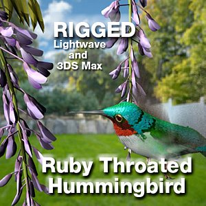 Ruby Throated Humming bird - Rigged