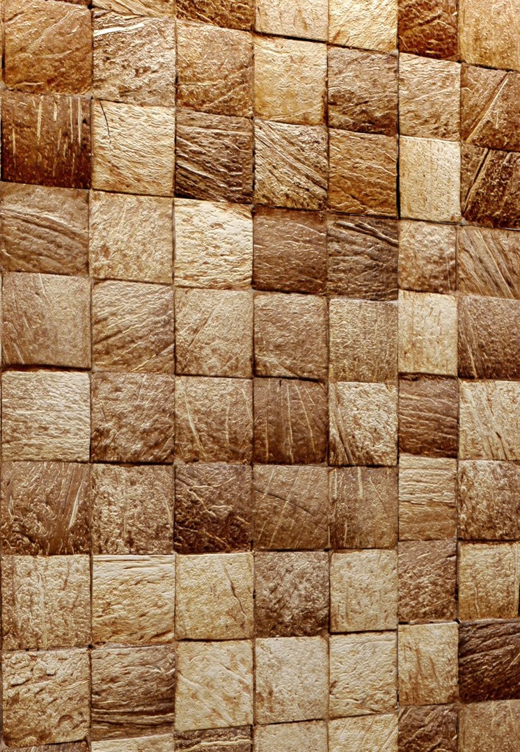 max coconut panel