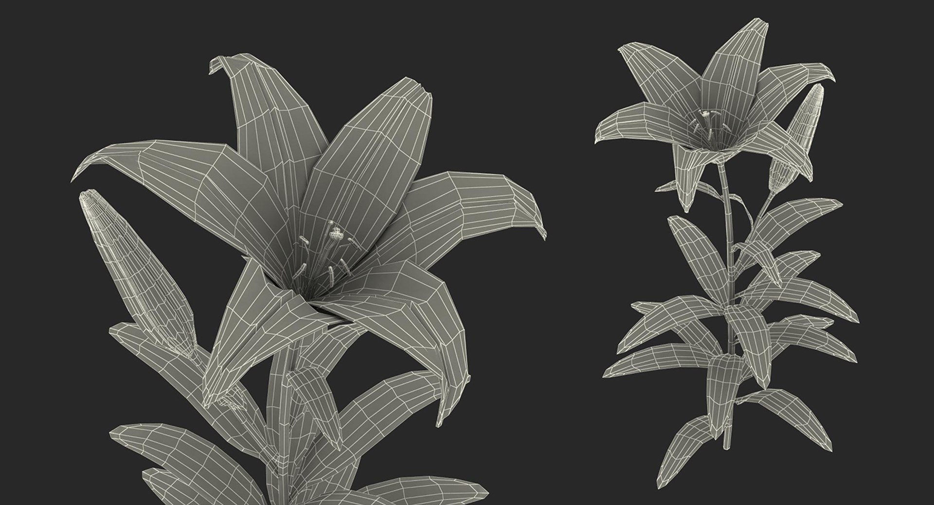 3D flowers 10 model https://p.turbosquid.com/ts-thumb/S9/uWDwcD/7zELEH5Z/flowerscollection10vray3dmodel055/jpg/1589555966/1920x1080/fit_q87/11bce8b212e12453084ad4566ae5337f8bf777d0/flowerscollection10vray3dmodel055.jpg