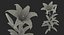 鲜花系列 10