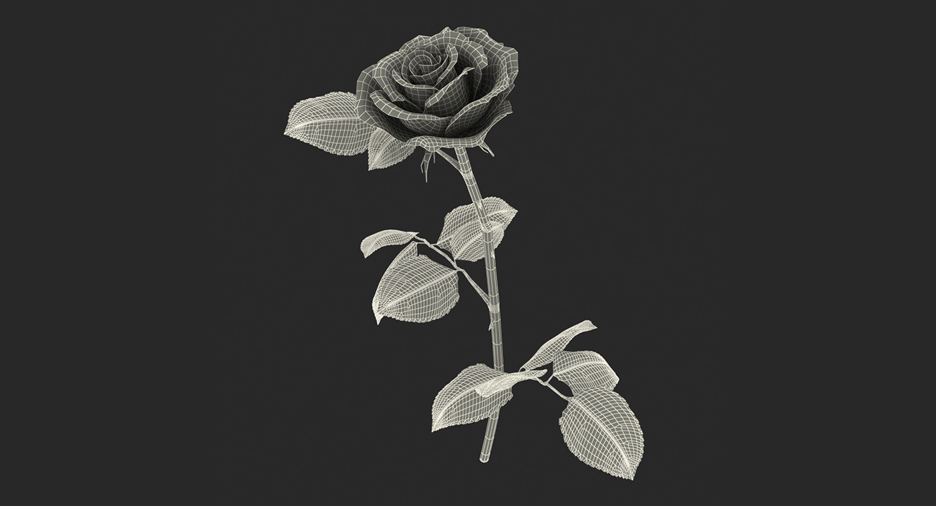 3d model rose