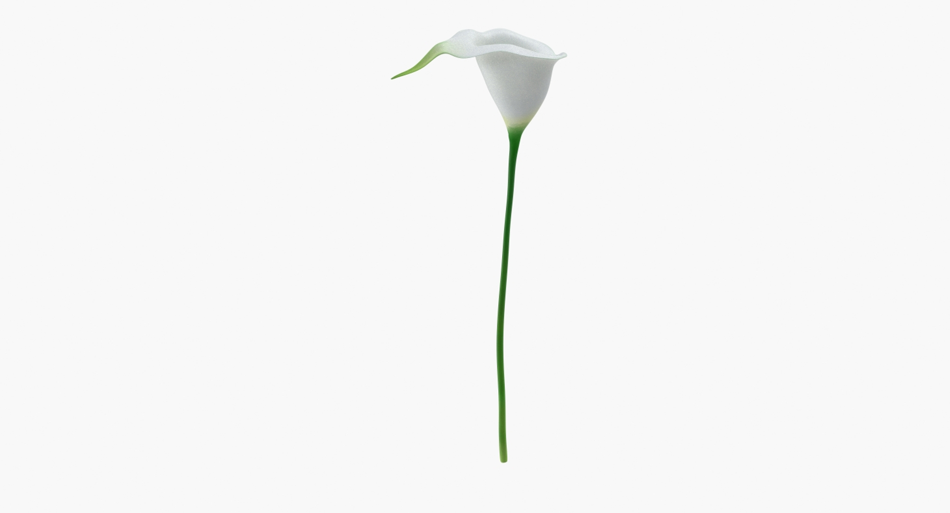 3D flowers 10 model https://p.turbosquid.com/ts-thumb/S9/uWDwcD/K4NFRKUO/flowers_collection_10_360/jpg/1589546054/1920x1080/turn_fit_q99/963f53a19953f76dc17112b460550cb21439c929/flowers_collection_10_360-1.jpg