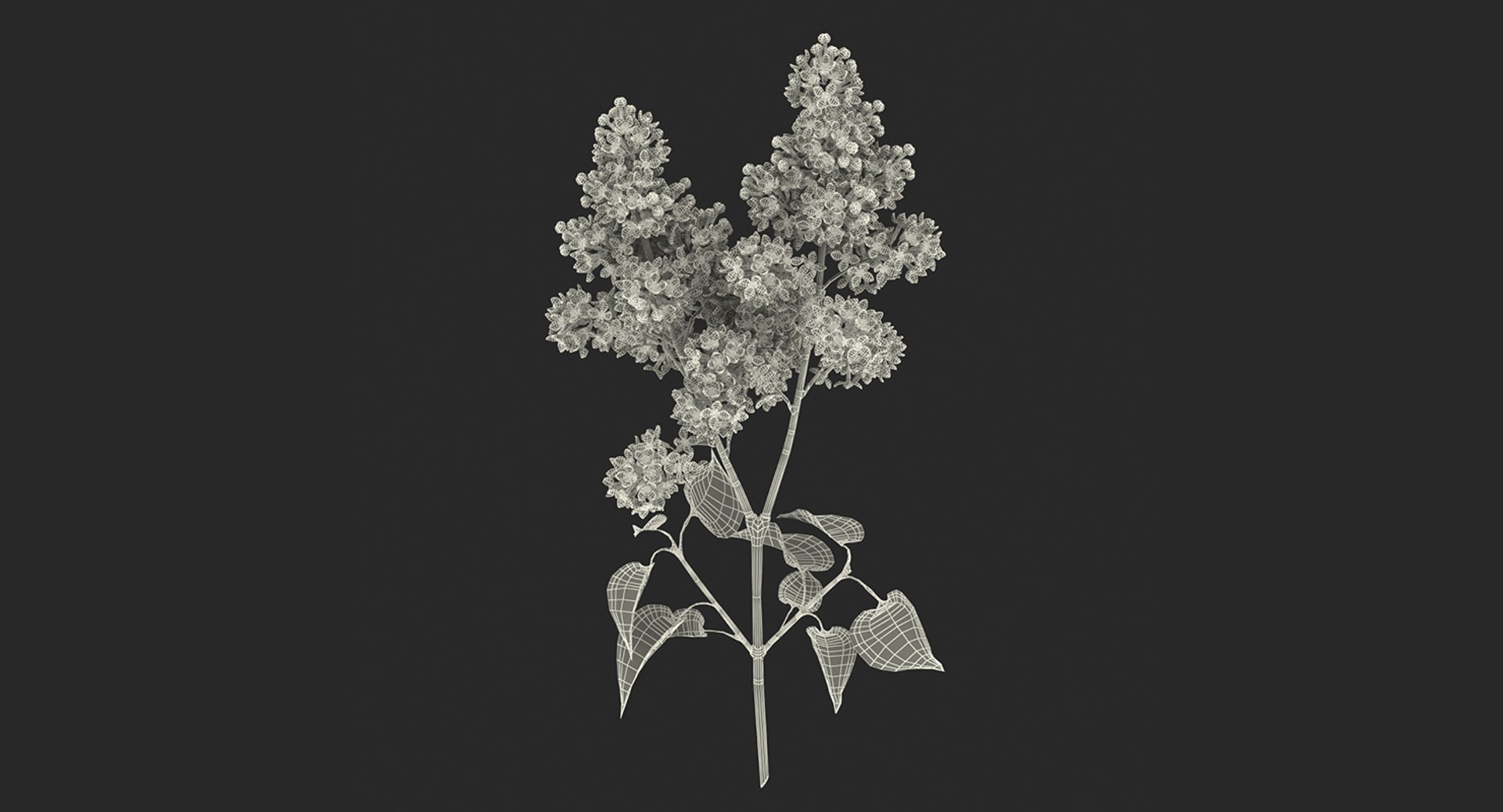 3D flowers 10 model https://p.turbosquid.com/ts-thumb/S9/uWDwcD/MoSEoVSf/flowerscollection10vray3dmodel056/jpg/1589555974/1920x1080/fit_q87/e1b2aed1776d811e78c56da7c345b999d0cf8669/flowerscollection10vray3dmodel056.jpg