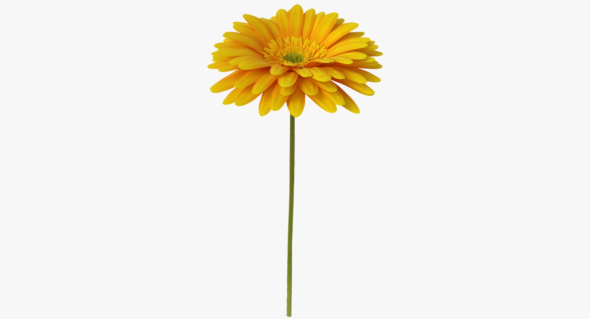 3D flowers 10 model https://p.turbosquid.com/ts-thumb/S9/uWDwcD/RmdJ7p2x/flowerscollection10vray3dmodel022/jpg/1589555671/1920x1080/fit_q87/4d4167f80f0821ad310cc0916bb2d527ba5b7c13/flowerscollection10vray3dmodel022.jpg