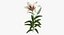 鲜花系列 10