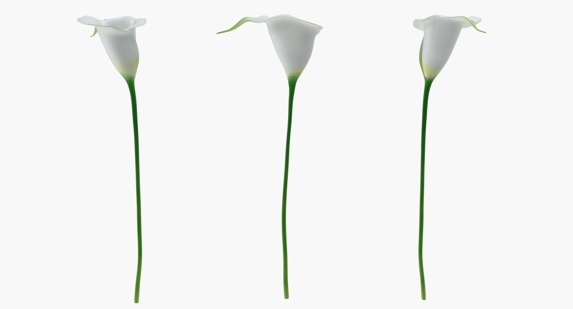 3D flowers 10 model https://p.turbosquid.com/ts-thumb/S9/uWDwcD/ggZDzVnp/flowerscollection10vray3dmodel005/jpg/1589555531/1920x1080/fit_q87/98c33dedc6b15e4f15909be1c9e8d42872c93351/flowerscollection10vray3dmodel005.jpg