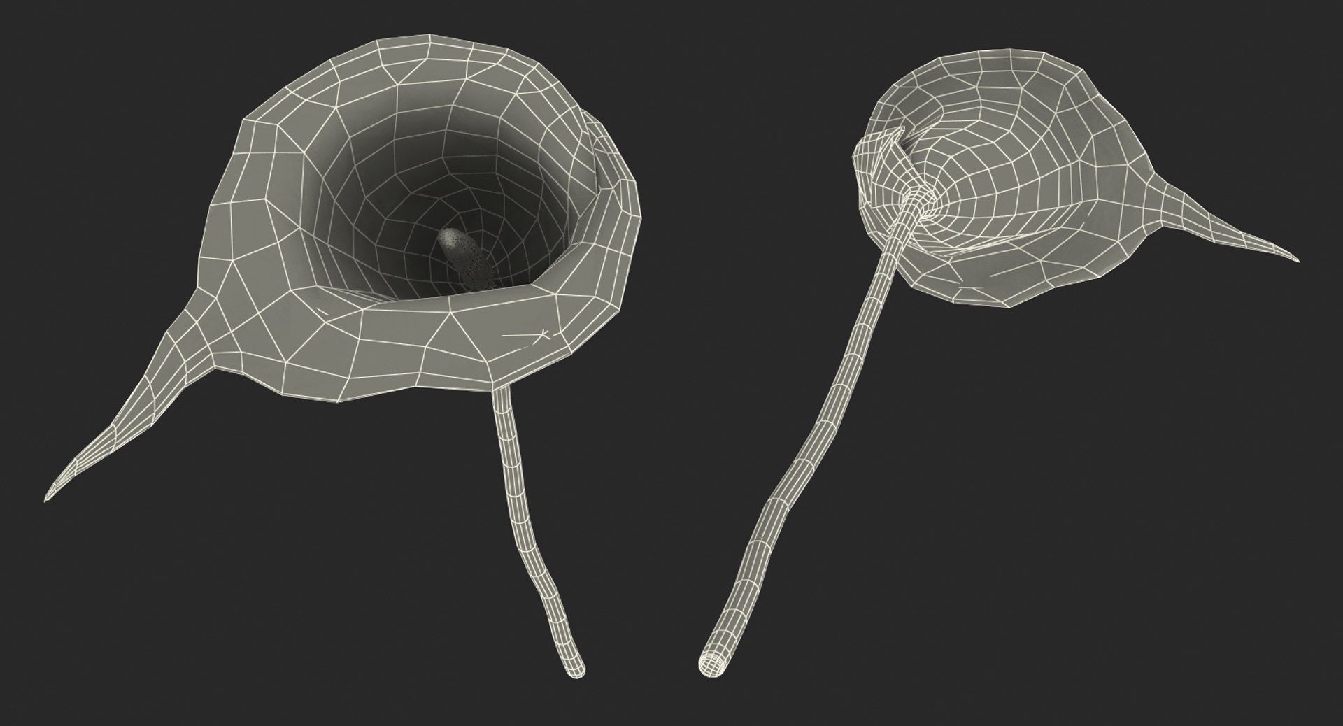 3D flowers 10 model https://p.turbosquid.com/ts-thumb/S9/uWDwcD/tVyDjF2M/flowerscollection10vray3dmodel047/jpg/1589555894/1920x1080/fit_q87/3a8339799f4bc818f6e8cf845fef786e7d29424e/flowerscollection10vray3dmodel047.jpg
