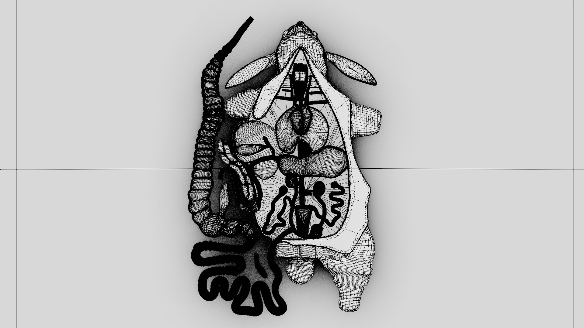 Bas-relief Model Internal Structure Of A Rabbit 3D Model - TurboSquid ...