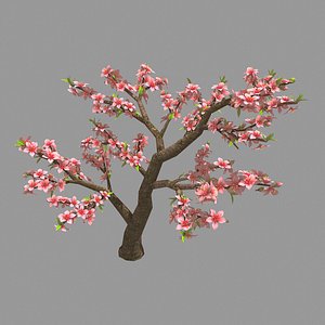 trees - peach 23 3D model
