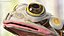 Frog Nervous System