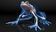 Frog Nervous System