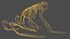 Frog Nervous System