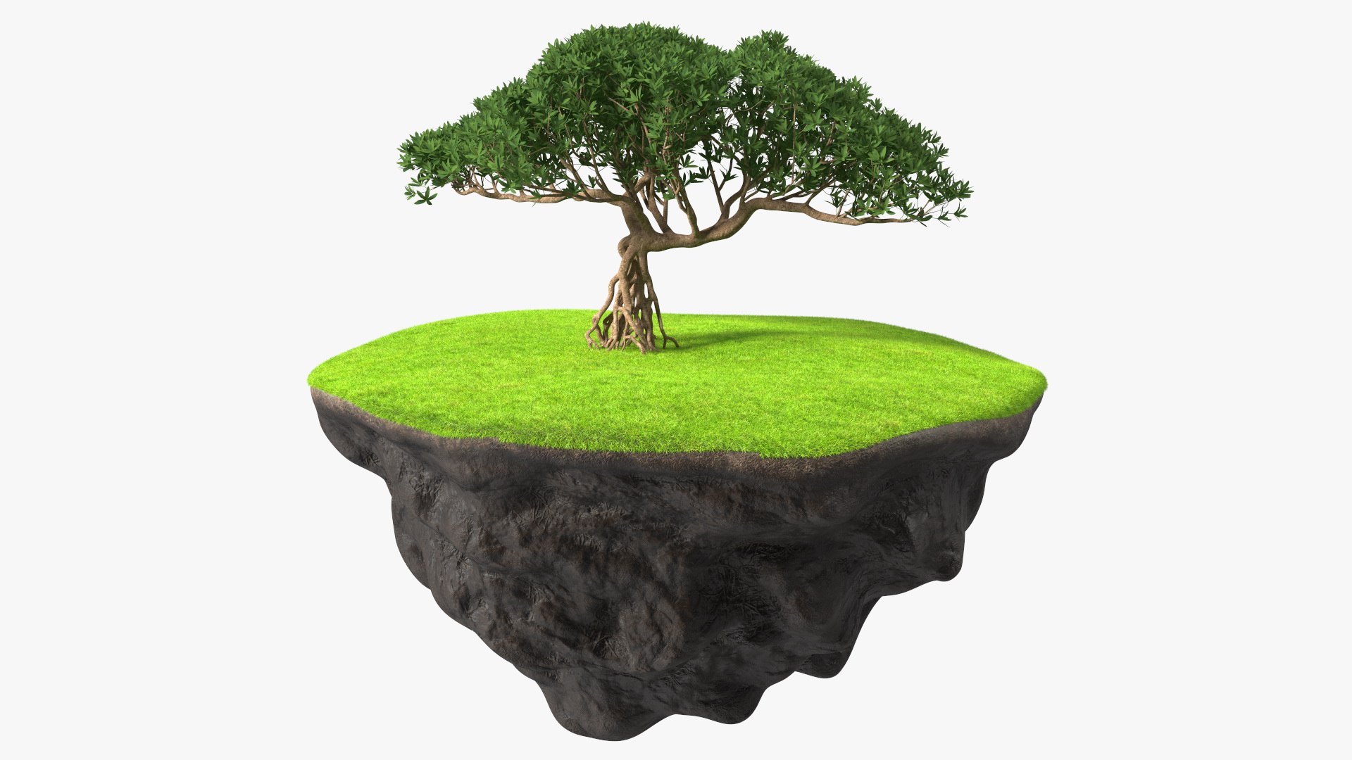 Round Soil Ground Cross Section with Tree Fur 3D model preview