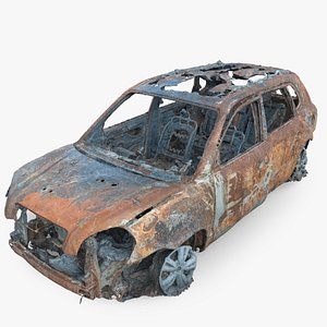 Burned Car Wreck 12