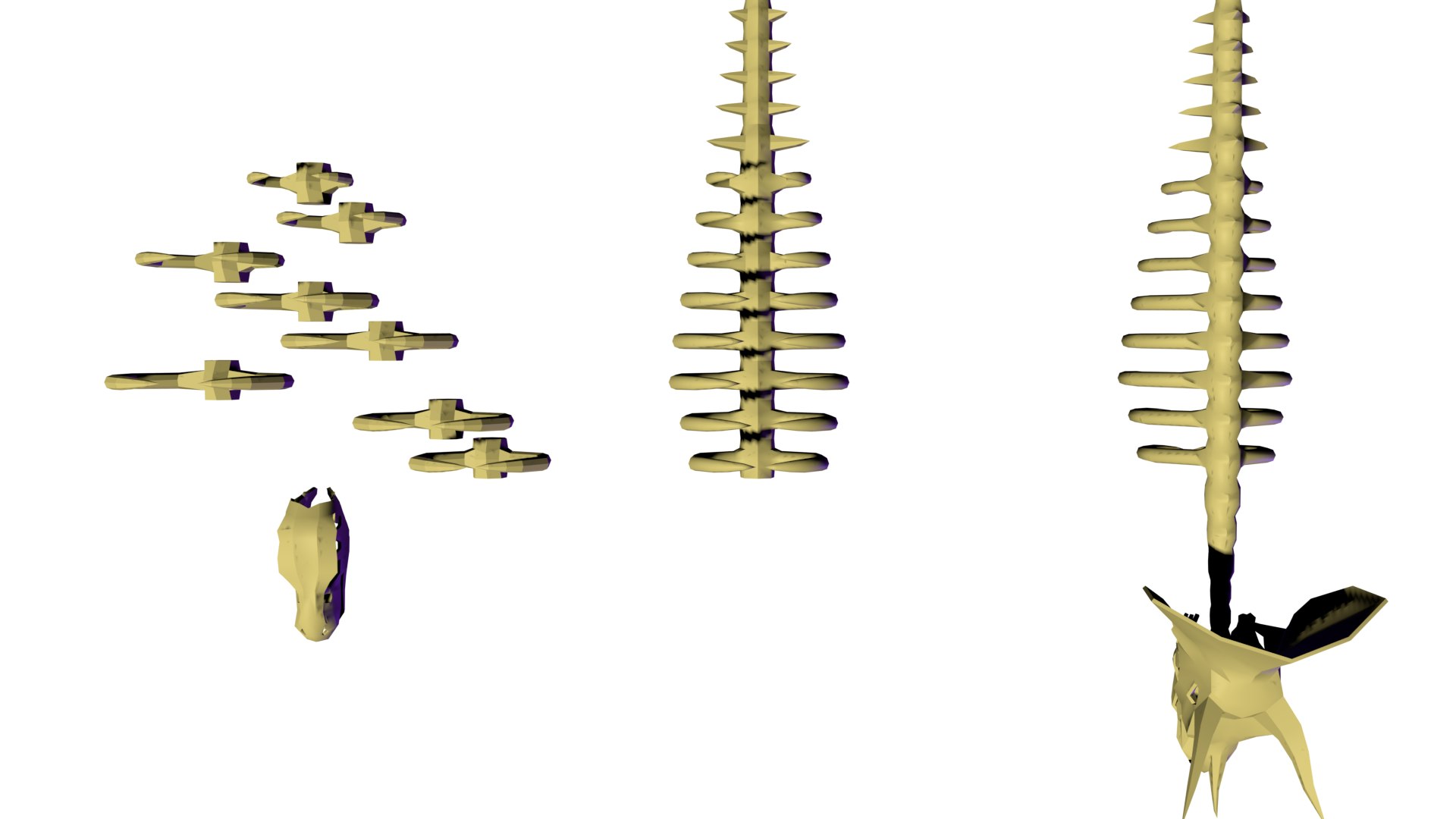 3D Dinosaur skeletons model https://p.turbosquid.com/ts-thumb/SA/xi2LNs/gC/7/png/1671484532/1920x1080/fit_q87/d7cc4d9dbbfa8bdc15ff6505a58f43a142a00858/7.jpg