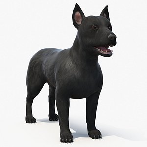 3D model Mongrel Dog Dark Standard Pose