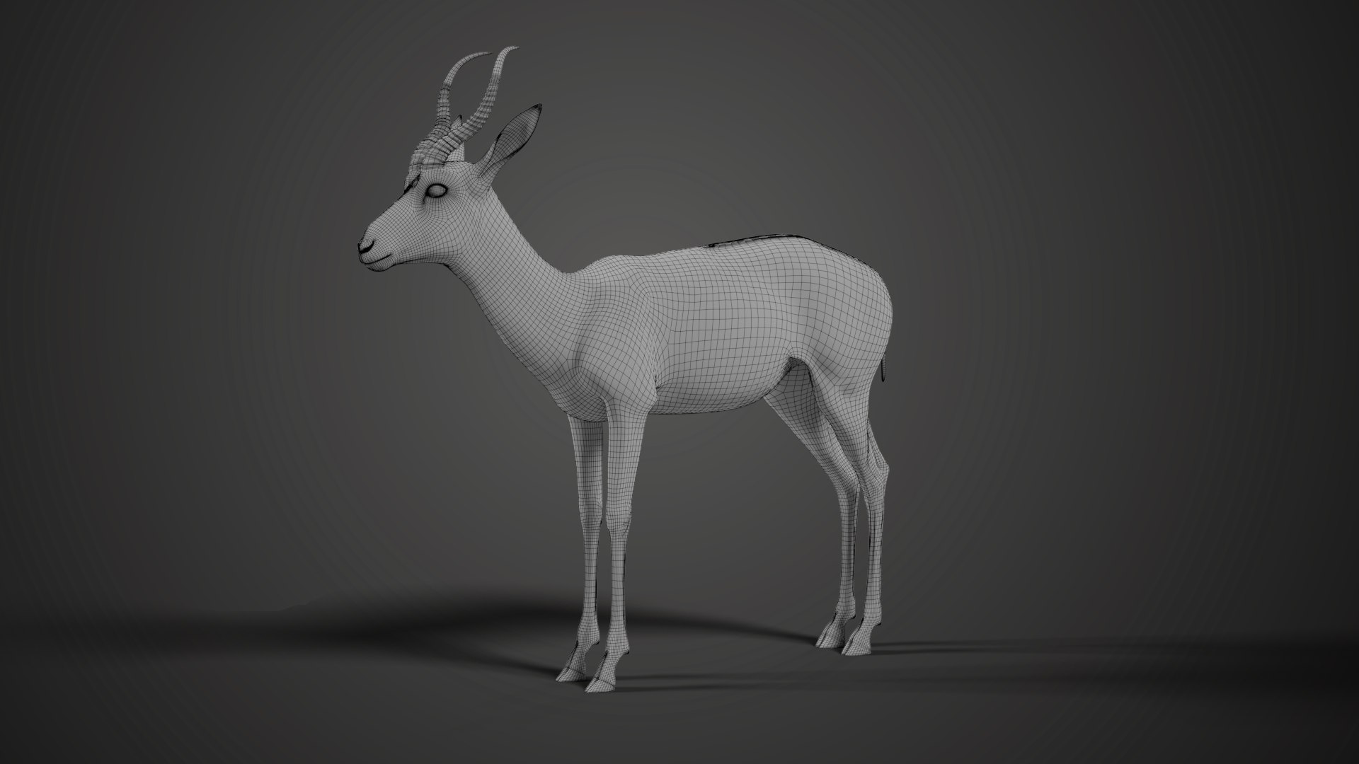 Springbok rigging animation 3D model - TurboSquid 1697834