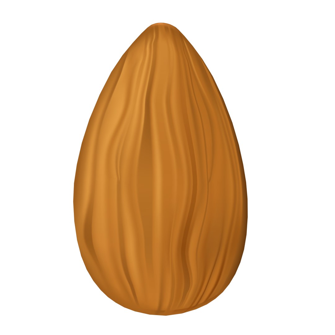 Cartoon Almond Model - Turbosquid 1485200