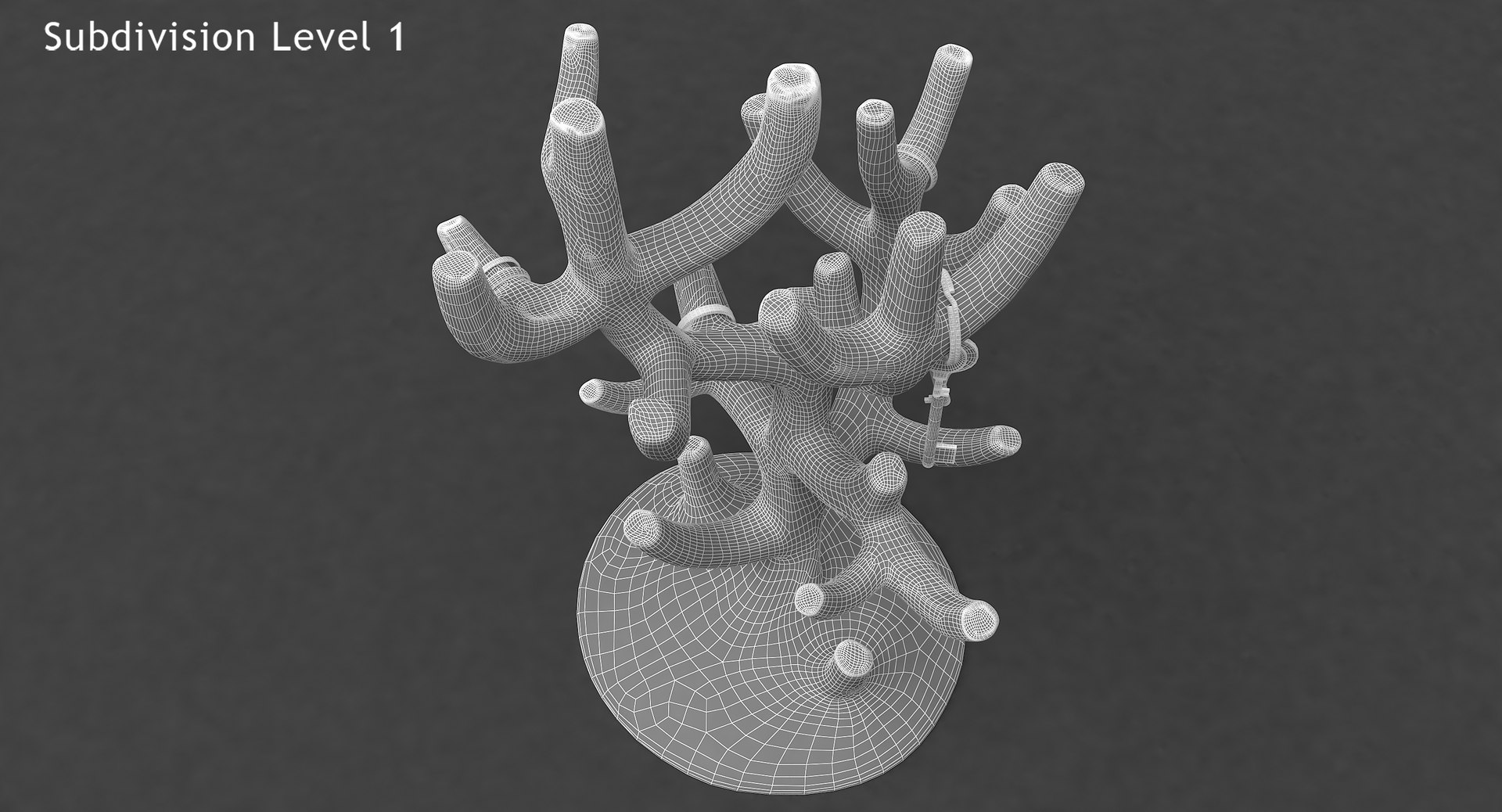 coral holder rings 3ds https://p.turbosquid.com/ts-thumb/SB/IJZfFU/wNi6xcFK/wire_cc/jpg/1468481223/1920x1080/fit_q87/6c2acc0474a5188c035d4a9323e7589315dd44a9/wire_cc.jpg