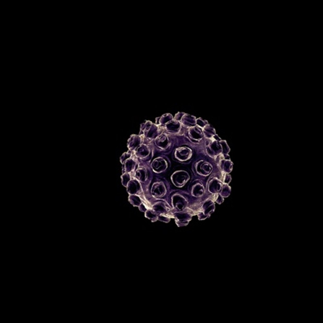 3d Measles Virus Science Model