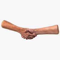 Handshake Old Man Hands Rigged for Cinema 4D