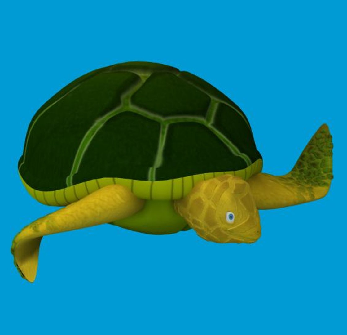 turtle rigged 3d max https://p.turbosquid.com/ts-thumb/SB/QdcI9Z/N81zNjmm/pic6/jpg/1263263210/1920x1080/fit_q87/3457043be277b051d405b39bd1946045cba2c004/pic6.jpg