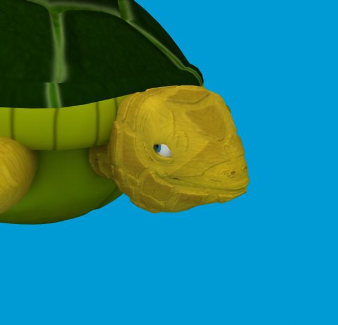 turtle rigged 3d max https://p.turbosquid.com/ts-thumb/SB/QdcI9Z/iVQ9KZu3/pic4/jpg/1263263209/1920x1080/fit_q87/de9ce660d5c625b515df3d4a06aa3b3f7b651970/pic4.jpg