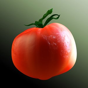 tomato 3d model