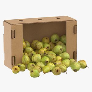 Cardboard Box 01 With Taylors Gold Pear Spilled(1)