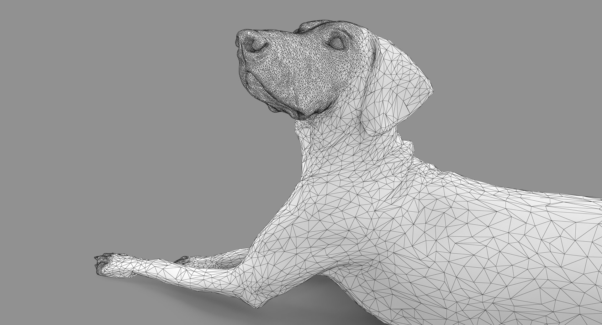 3D human animals dog model https://p.turbosquid.com/ts-thumb/SB/bbliM2/03v7xAG5/100013/png/1548009140/1920x1080/fit_q87/be6302c4e6298f0f97c0643be2674cd9b10f6e2a/100013.jpg