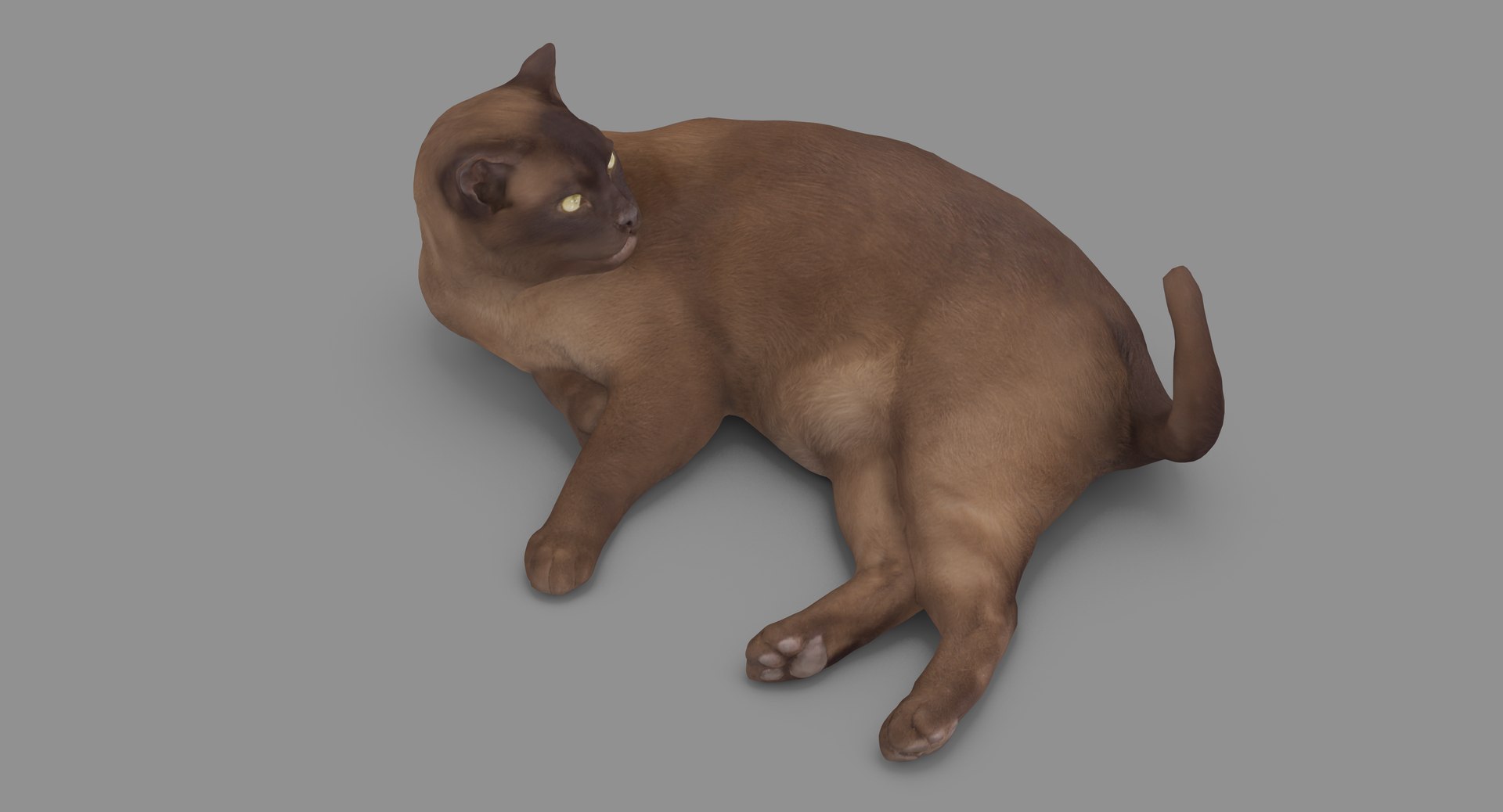 3D human animals dog model https://p.turbosquid.com/ts-thumb/SB/bbliM2/077Fn068/100006/png/1548008860/1920x1080/fit_q87/6f07698b23c7208528ff761d0b7d5940ee105815/100006.jpg