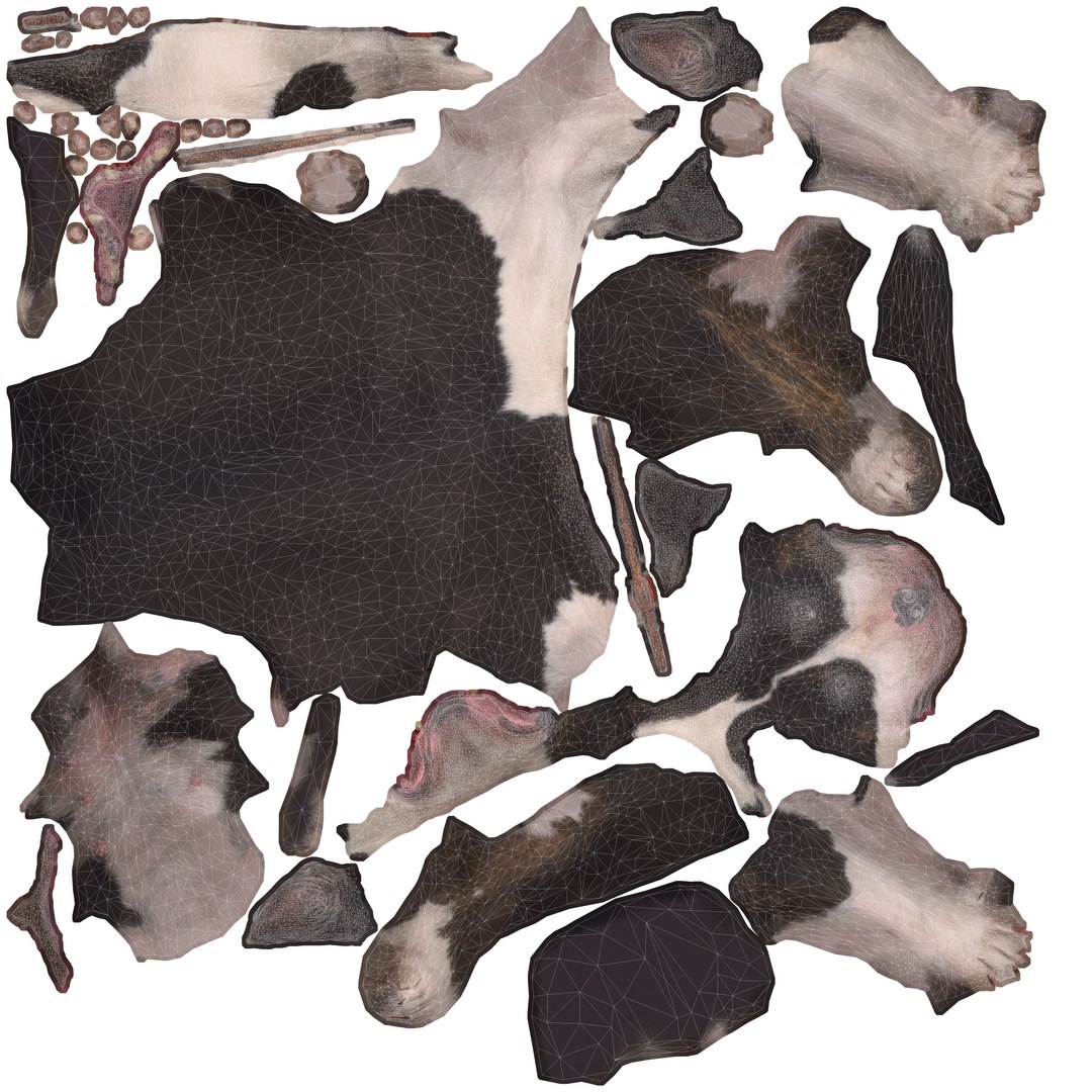 3D human animals dog model https://p.turbosquid.com/ts-thumb/SB/bbliM2/1vu1xdeO/uvw/png/1548008791/1920x1080/fit_q87/0e82d4580b69816bfd77431532a6baccb9bc4efd/uvw.jpg