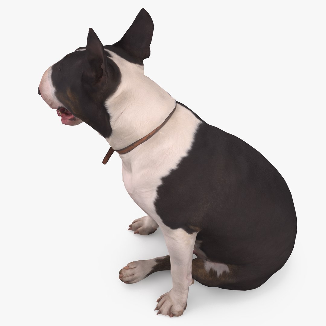 3D human animals dog model https://p.turbosquid.com/ts-thumb/SB/bbliM2/62kiyRc1/400008/png/1548008791/1920x1080/fit_q87/83f54e6de2f2a0ef3015ed811d2d00a09c73c762/400008.jpg