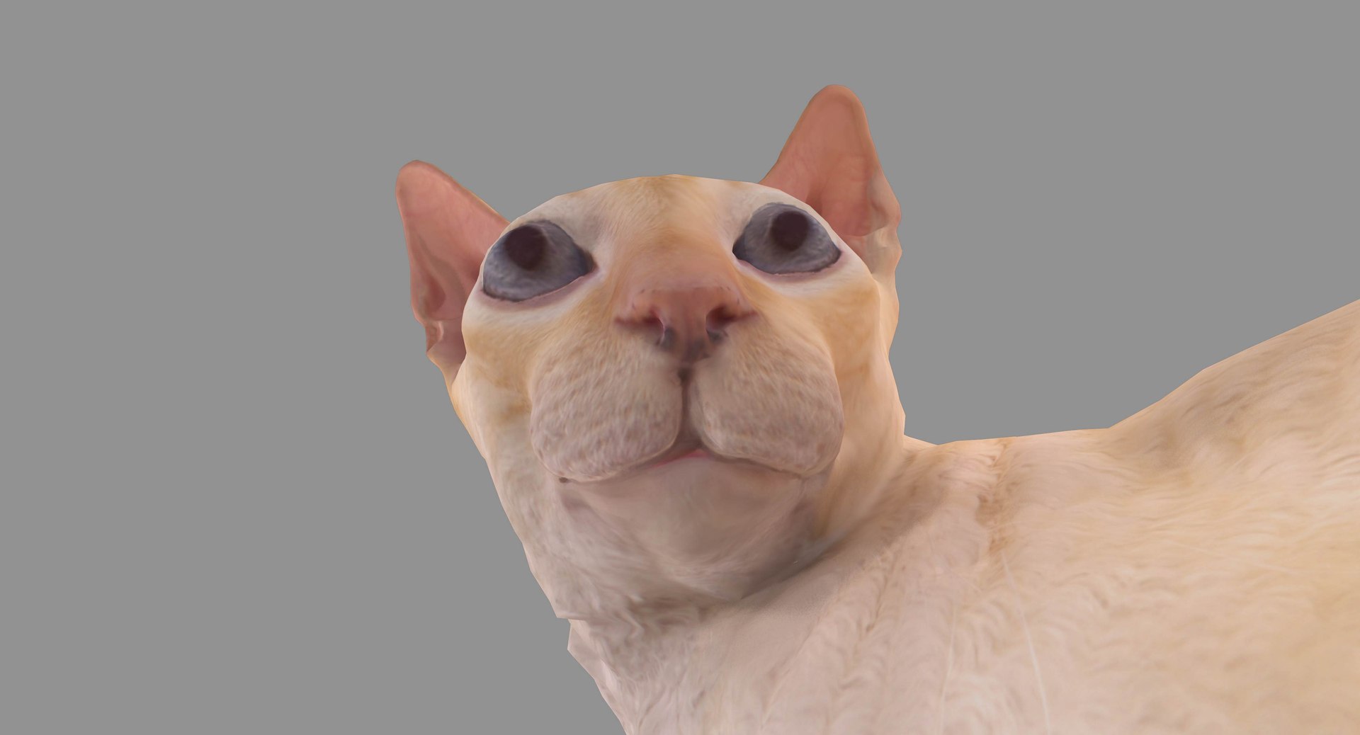 3D human animals dog model https://p.turbosquid.com/ts-thumb/SB/bbliM2/Lo6oLjlj/100001/jpg/1548009355/1920x1080/fit_q87/c0b0069e4647cf18a56495cbdcf0cd91d363000e/100001.jpg
