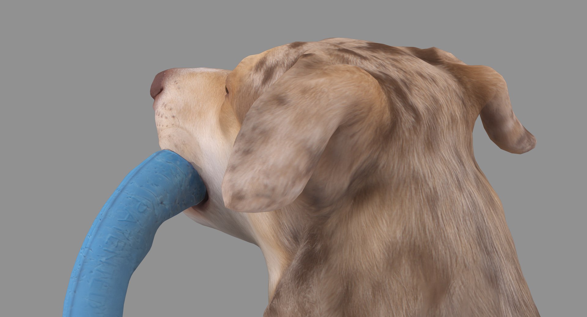 3D human animals dog model https://p.turbosquid.com/ts-thumb/SB/bbliM2/Ly3Qlzwp/100030/png/1548008534/1920x1080/fit_q87/41ae8678a2c650155be0e8a25a6fbc5923d52954/100030.jpg